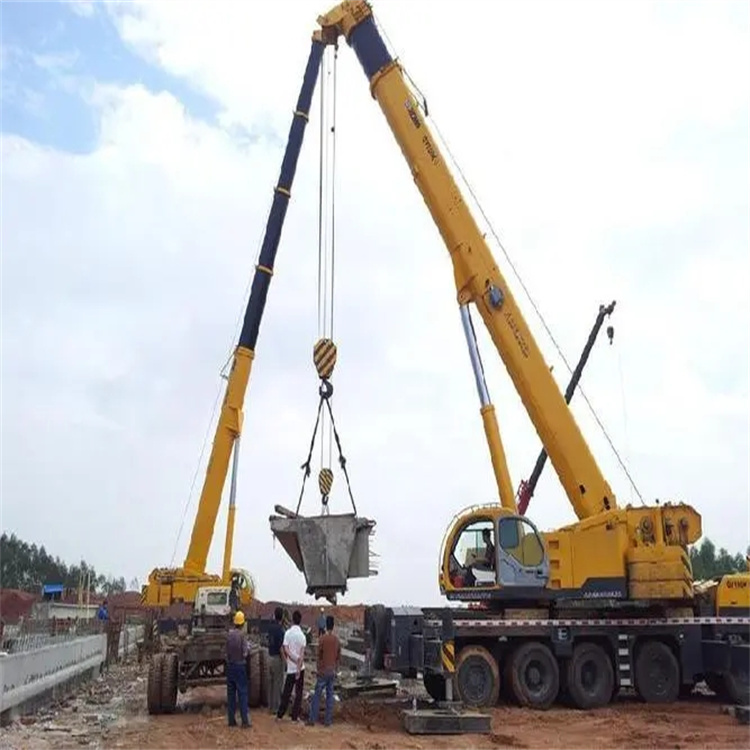 雨城小型吊机出租电话|厂房设备吊装方案|24小时服务覆盖